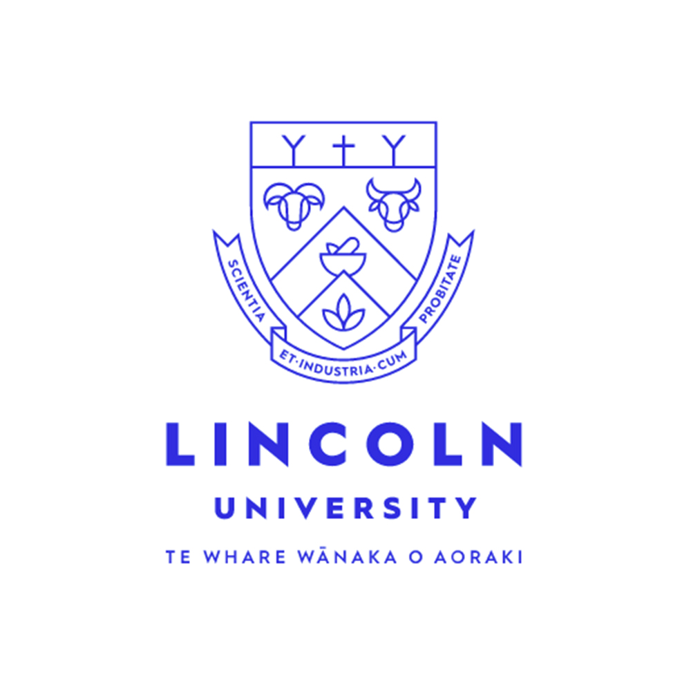 FOREIGN UNIVERSITY CONSULTANCY
