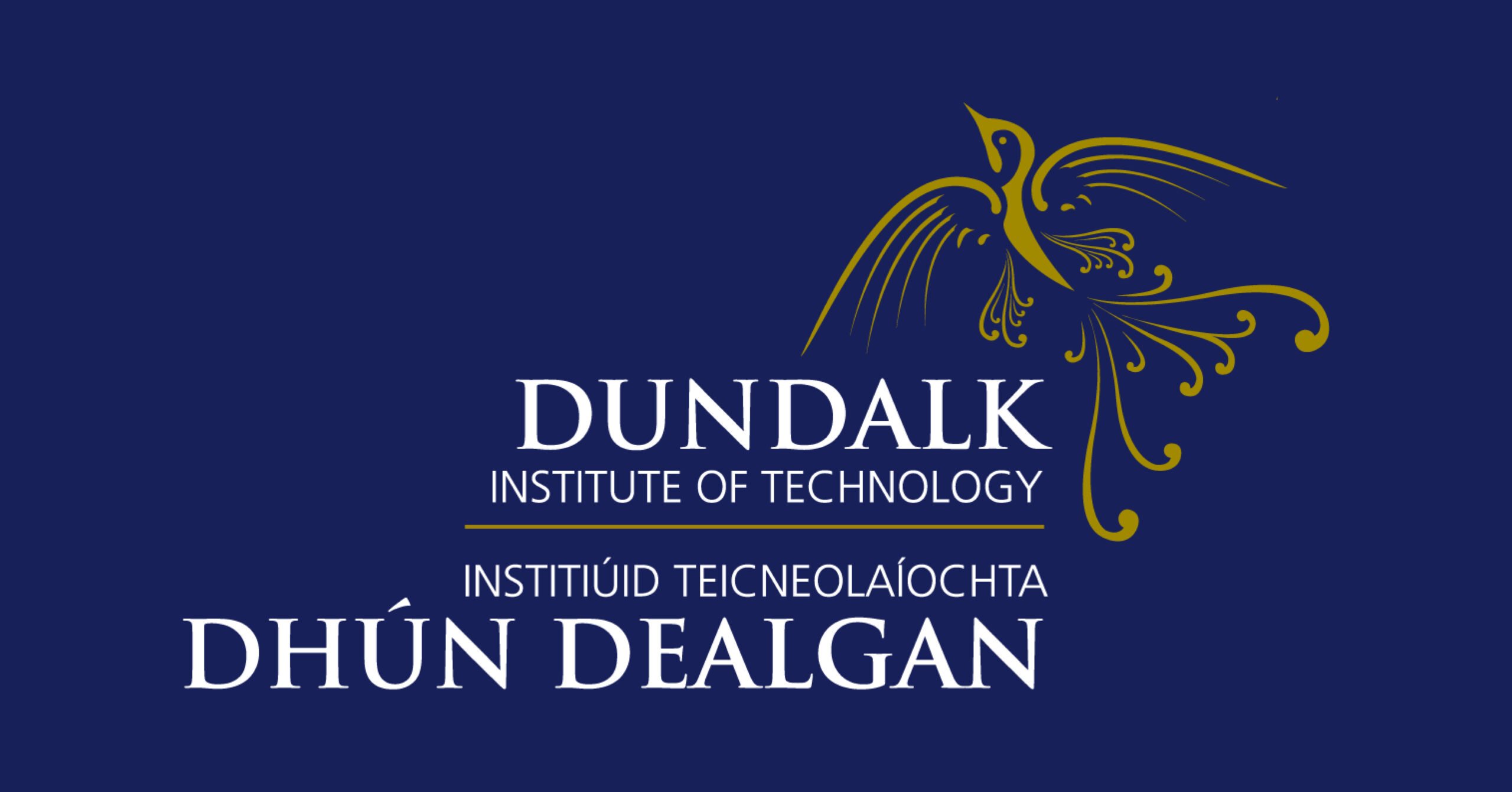 FOREIGN UNIVERSITY CONSULTANCY