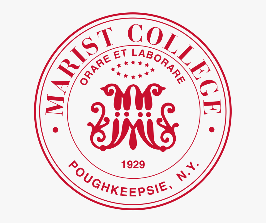 FOREIGN UNIVERSITY CONSULTANCY
