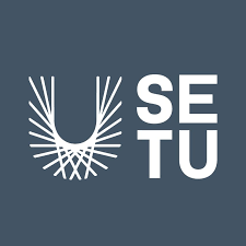 FOREIGN UNIVERSITY CONSULTANCY