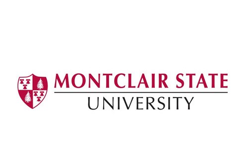 FOREIGN UNIVERSITY CONSULTANCY