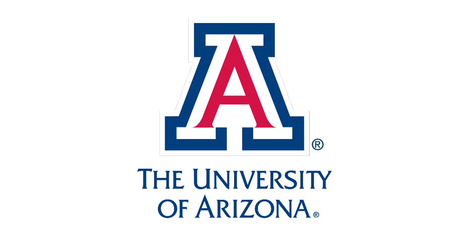 FOREIGN UNIVERSITY CONSULTANCY